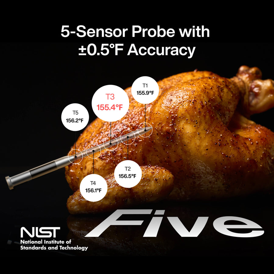 Typhur Sync Air Fryer